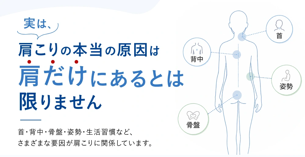 実は肩こりの本当の原因は肩だけにあるとは限りません。首・背中・骨盤・姿勢・生活習慣など、 さまざまな要因が肩こりに関係しています。
